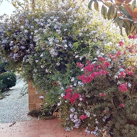 Myrto Hébergement de vacances *