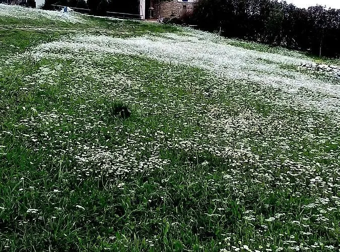 Myrto Casa de Férias